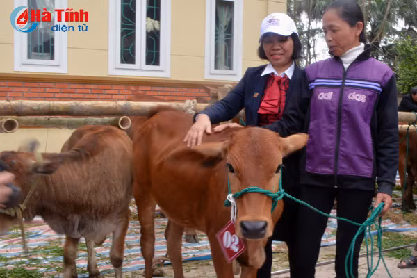 agribank ho tro 132 con bo cho nguoi ngheo ha tinh