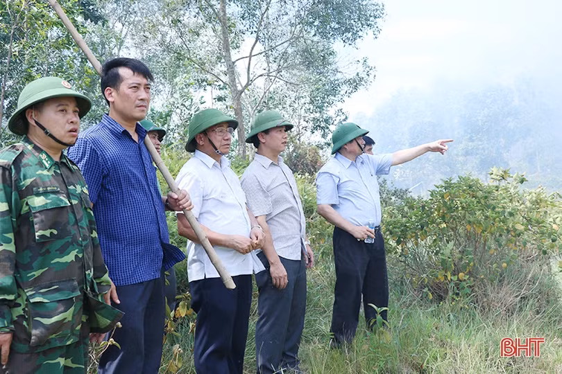 Trưởng ban Tổ chức Trung ương trực tiếp chỉ đạo chống cháy rừng ở Hương Sơn