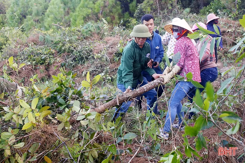 Dựng đường băng cản lửa - giải pháp cấp bách cứu rừng