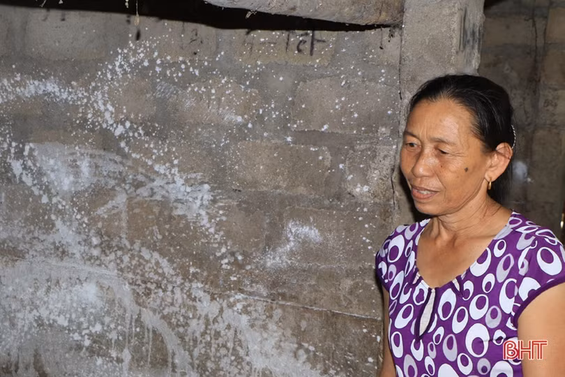 Dịch tả lợn châu Phi hoành hành: (Bài 1) Người nuôi bỗng mất “cơ nghiệp”