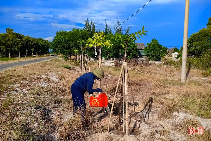 Cán bộ và người dân vùng đất cát Hà Tĩnh kéo xe “giải cứu” cây xanh