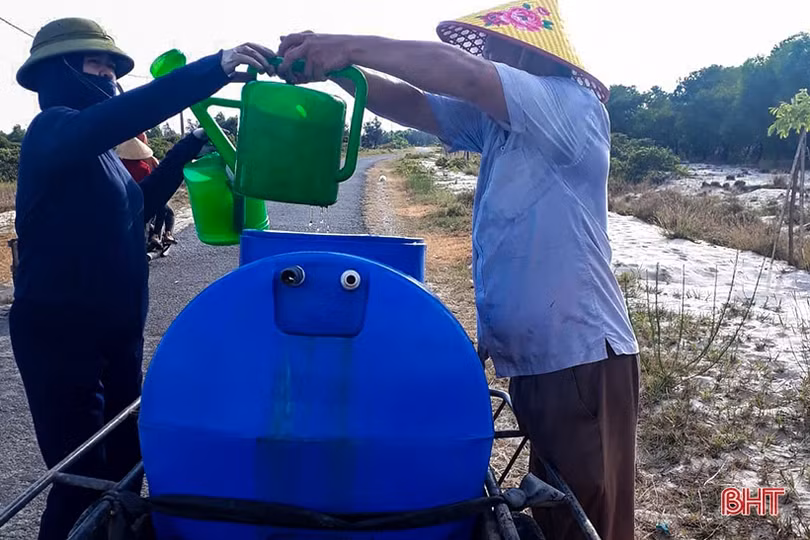 Cán bộ và người dân vùng đất cát Hà Tĩnh kéo xe “giải cứu” cây xanh
