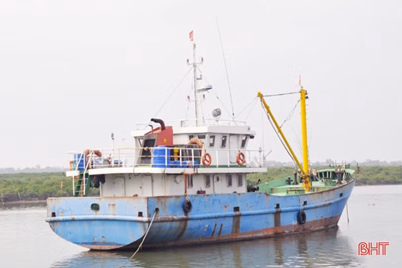 3 năm sau sự cố môi trường biển (bài 3): Ngư dân Hà Tĩnh vươn khơi trên tàu lớn, hải sản về đầy khoang