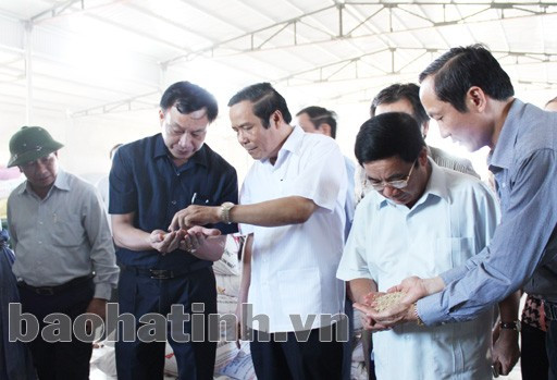 Các đồng chí lãnh đạo tỉnh kiểm tra Nhà máy Chế biến gạo ở Đức Lâm (Đức Thọ).