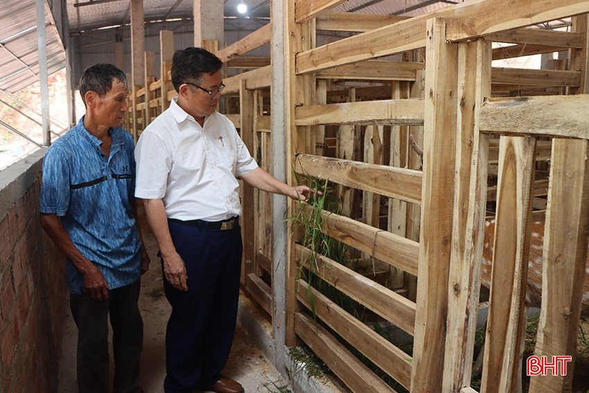 Hợp tác xã Sản xuất, thương mại dịch vụ, du lịch Xuyên Sơn đầu tư khoảng 5 tỷ đồng để xây dựng trại nuôi hươu giống. bqbht_br_4273.jpg