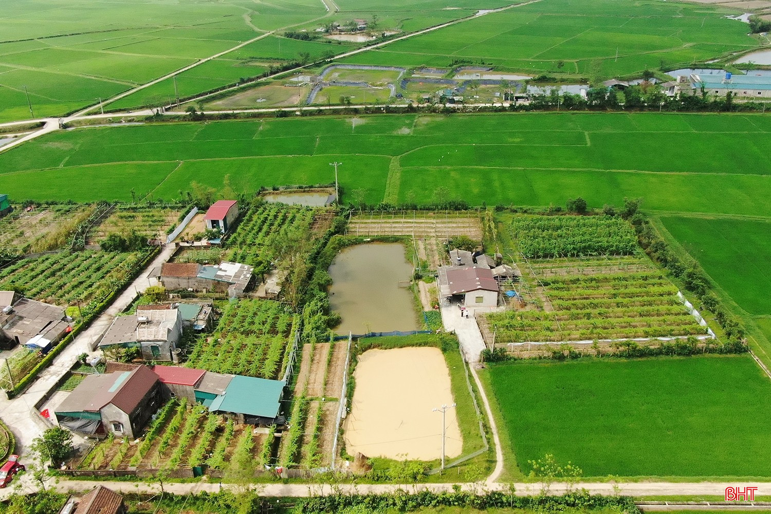 Khu vườn xanh mướt rau màu của ông Võ Từ Mậu nằm bên những ruộng lúa ở xứ đồng Cồn Dưa, thôn Trung Thành, xã Cẩm Trung. Ảnh: Mạnh Hải.