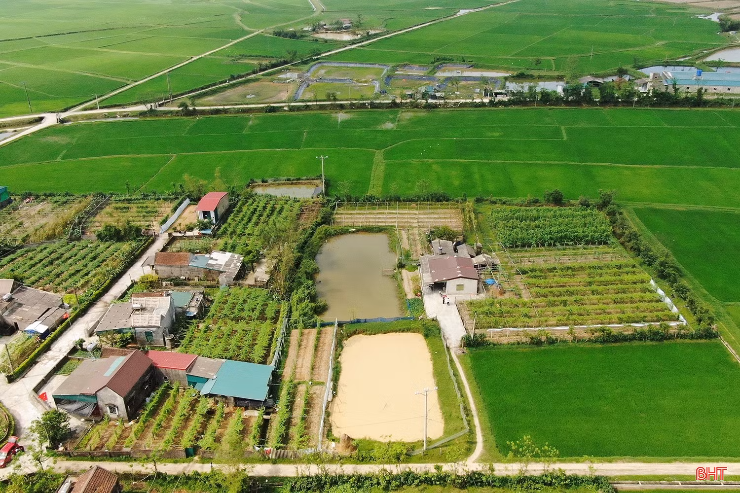 Khu vườn xanh mướt rau màu của ông Võ Từ Mậu nằm bên những ruộng lúa ở xứ đồng Cồn Dưa, thôn Trung Thành, xã Cẩm Trung. Ảnh: Mạnh Hải.