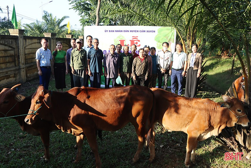 Đại diện Phòng LĐ-TB&XH huyện Cẩm Xuyên và chính quyền địa phương trao mô hình sinh kế bò sinh sản cho 11 hộ nghèo, hộ cận nghèo trên địa bàn xã Cẩm Minh. bqbht_br_1.jpg