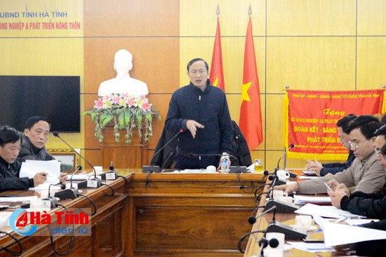 GĐ Sở NN&PTNT Đặng Ngọc Sơn đề nghị các huyện thực hiện nghiêm túc chỉ đạo của tỉnh về công tác phòng chống rét và dịch bệnh trên cây trồng vật nuôi vụ xuân 2016; triển khai khảo sát, điều tra quy hoạch đề án phát triển cây nguyên liệu phục vụ chăn nuôi bò gắn với chuyển đổi cơ cấu cây trồng