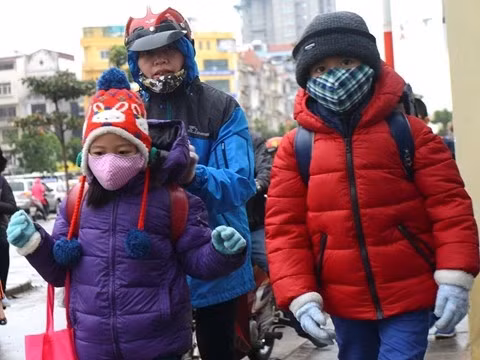 Ảnh minh họa từ internet