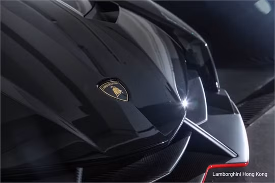 Vẻ đẹp nghẹt thở của cặp Lamborghini Veneno Roadster ảnh 5