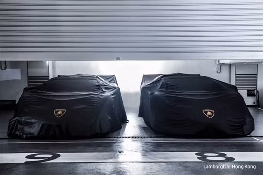 Vẻ đẹp nghẹt thở của cặp Lamborghini Veneno Roadster ảnh 1