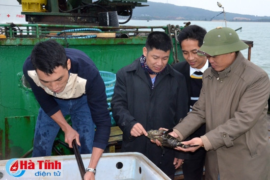 Công ty NTTS Hoàng Dương cùng với Công ty Fineton xuất khẩu 9 tấn cá sang Hồng Kông