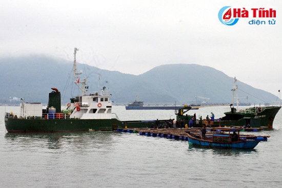 Xuất khẩu 9 tấn cá mú sang Hồng Kông qua đường biển ảnh 4