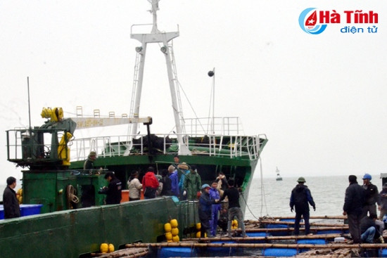 Tàu cập cảng Vũng Áng để "gom" hàng cá mú