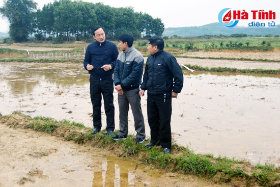 Lãnh đạo ngành NN&PTNT khuyến cáo huyện Hương Khê cần chỉ đạo bà con tháo nước ra khỏi ruộng, không ngập úng gây thối diện tích đã gieo.