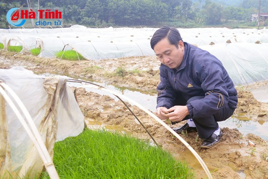 Diện tích mạ của Vũ Quang được che phủni lông theo đúng quy trình kỹ thuật