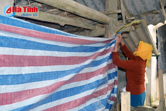 Giám đốc Sở NN&PTNT Đặng Ngọc Sơn kiểm tra công tác triển khai phòng chống rét cho gia súc ở Vũ Quang