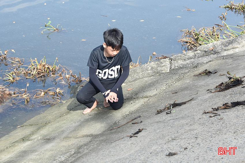 DSC_9631 copy.jpg