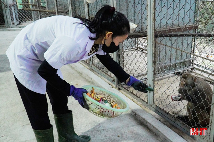 bqbht_br_thieu-thon-ve-co-so-vat-chat-nhung-nguoi-can-bo-tai-tram-cang-gap-nhieu-kho-khan-va-ap-luc-khi-thuc-hien-nhiem-vu.jpg