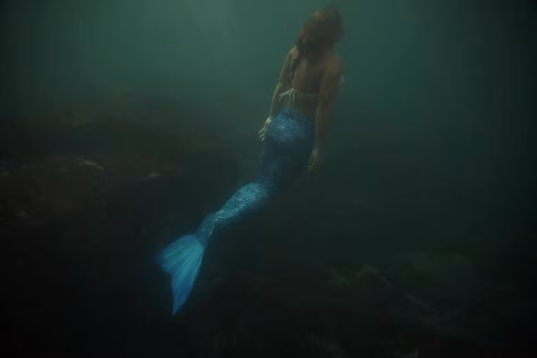 bao loan o virginia lot top anh tuan