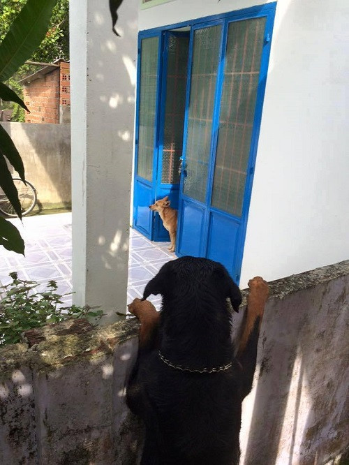 10 anh hai hot nhat facebook trong ngay