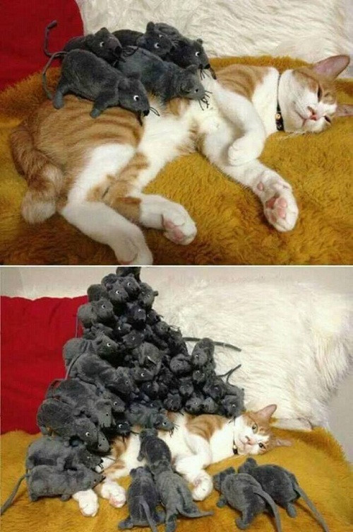 10 anh hai hot nhat facebook trong ngay