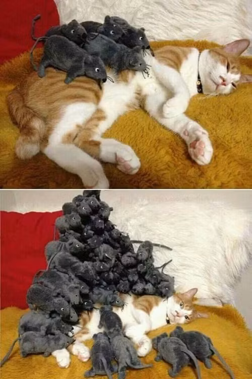 10 anh hai hot nhat facebook trong ngay