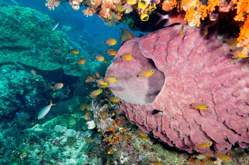 diem den 2 9 xuat ngoai lan bien o dong nam a