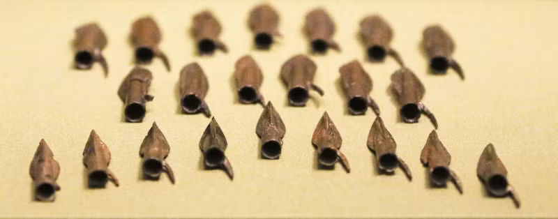 chiem nguong cac hien vat bang vang cua nguoi scythia co dai