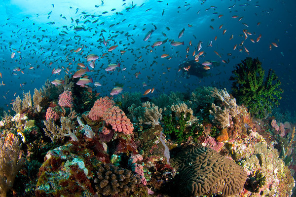 diem den 2 9 xuat ngoai lan bien o dong nam a