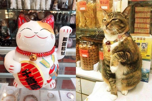 10 anh hai hot nhat facebook trong ngay