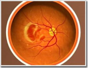 loi ich suc khoe cua qua hong gion