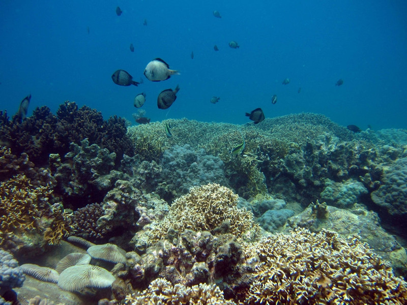 diem den 2 9 xuat ngoai lan bien o dong nam a