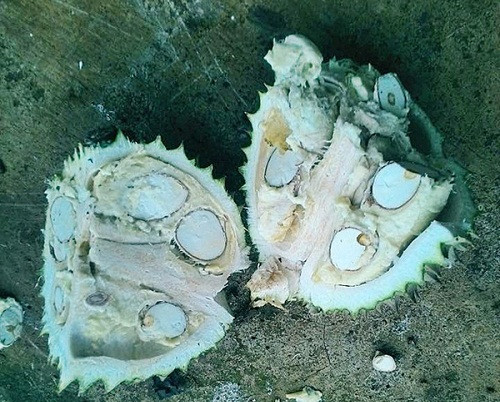 10 anh hai hot nhat facebook trong ngay