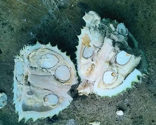 10 anh hai hot nhat facebook trong ngay