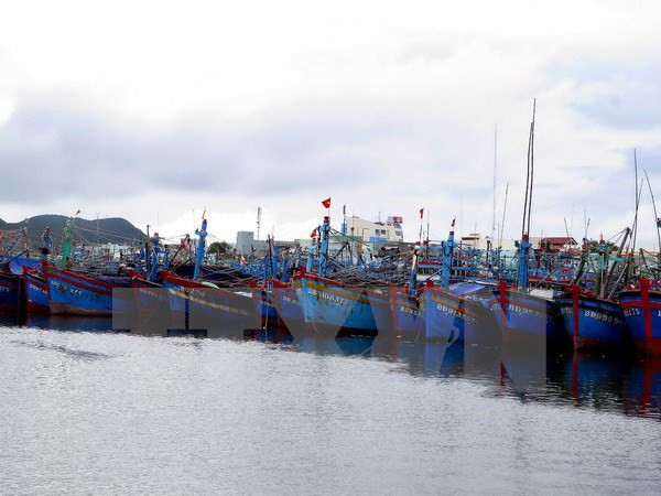 Theo dõi chặt chẽ diễn biến của bão số 7 để chủ động ứng phó kịp thời ảnh 1 theo doi chat che dien bien cua bao so 7 de chu dong ung pho kip thoi