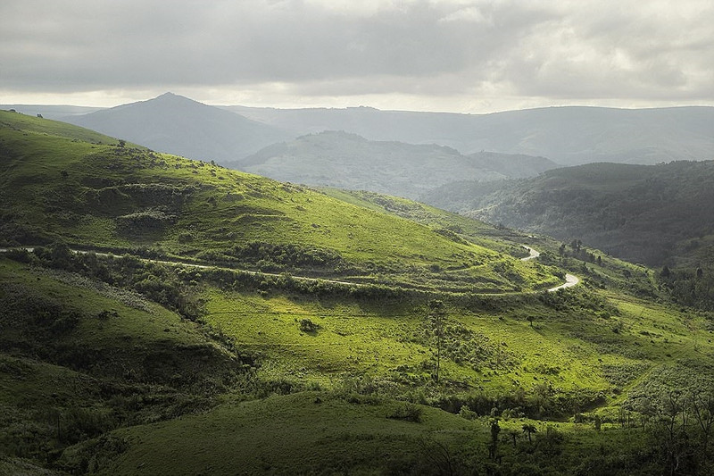 du ngoan doc theo nhung quang duong dep nhat the gioi