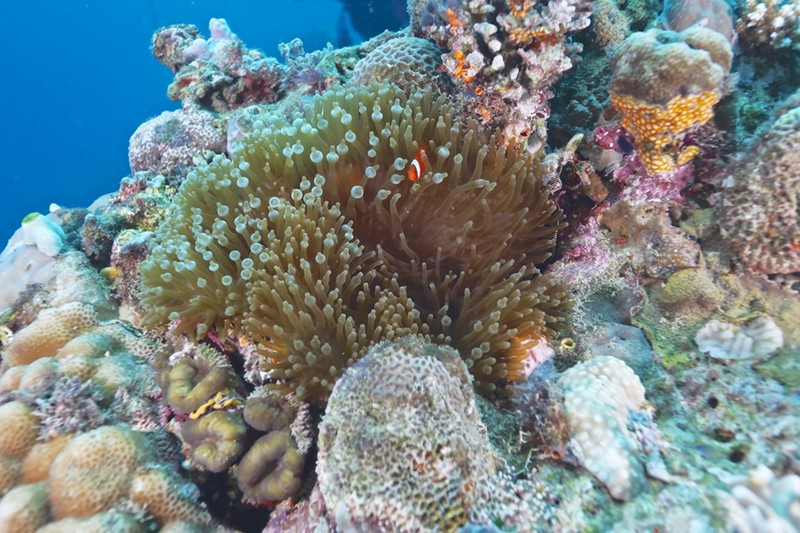 diem den 2 9 xuat ngoai lan bien o dong nam a