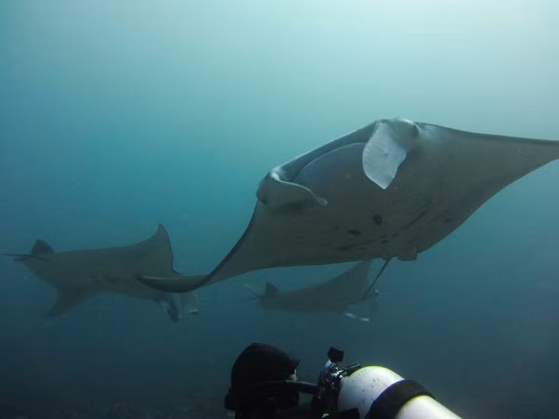 diem den 2 9 xuat ngoai lan bien o dong nam a