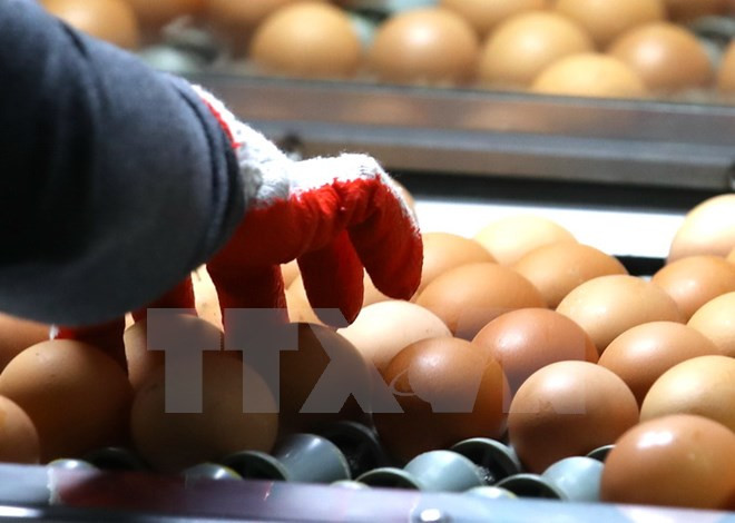 tong thong han quoc xin loi nguoi dan ve be boi trung ban