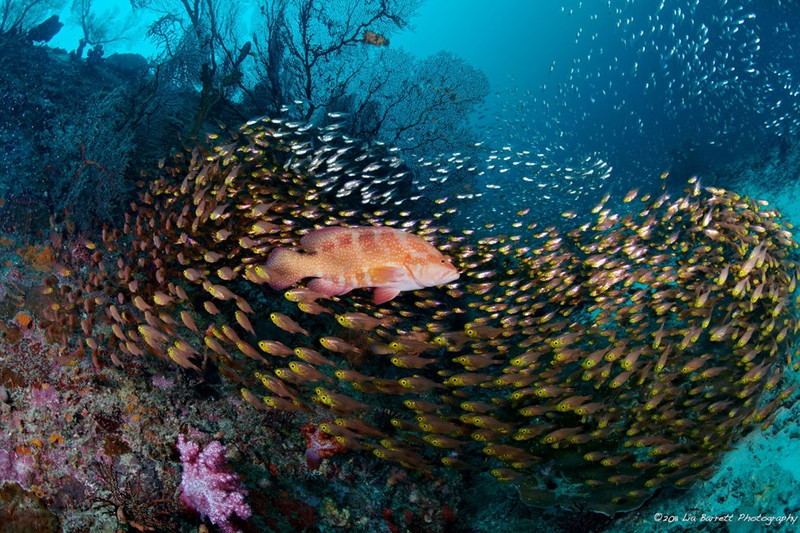 diem den 2 9 xuat ngoai lan bien o dong nam a