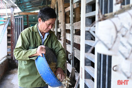 Nhiều mô hình kinh tế khởi nghiệp mới ở Thạch Hà