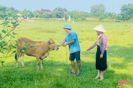 Mô hình sinh kế - động lực vươn lên thoát nghèo ở Thạch Hà