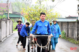 Gom cây cảnh người dân không còn dùng sau Tết về phục vụ cộng đồng