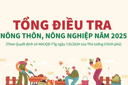 Hà Tĩnh triển khai thu thập thông tin Tổng điều tra nông thôn, nông nghiệp 2025