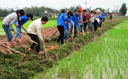 ĐVTN tham gia làm đường giao thông nông thôn