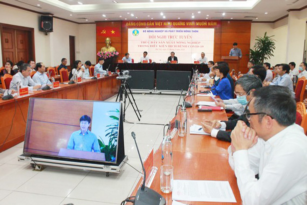 Nỗ lực vượt khó, thúc đẩy sản xuất nông nghiệp ứng phó với dịch Covid-19 ảnh 1 Nỗ lực vượt khó, thúc đẩy sản xuất nông nghiệp ứng phó với dịch Covid-19