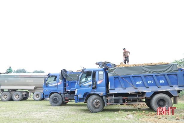 Ra quân 1 ngày, xử phạt ngay 20 trường hợp chở quá khổ, quá tải