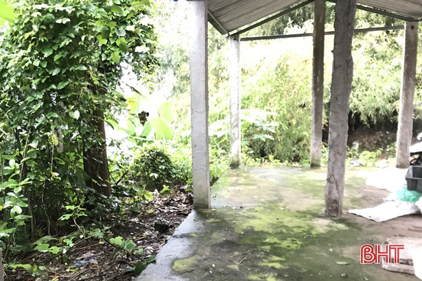 Bờ sông Ngàn Mọ đã được dọn sạch rác